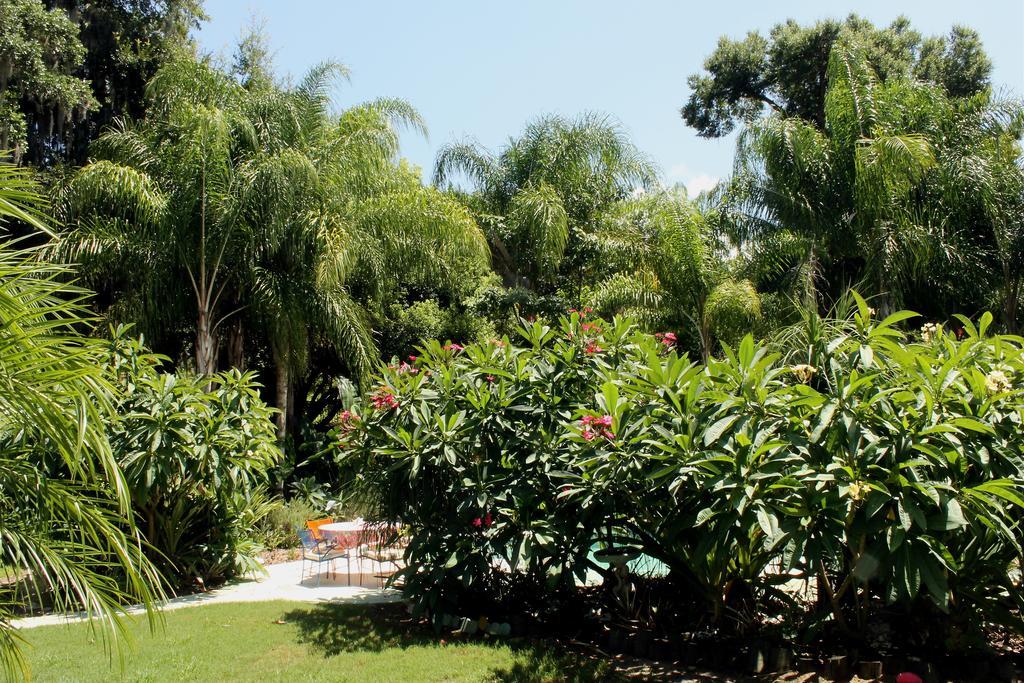 Heron Cay Lakeview Bed & Breakfast Маунт-Дора Экстерьер фото