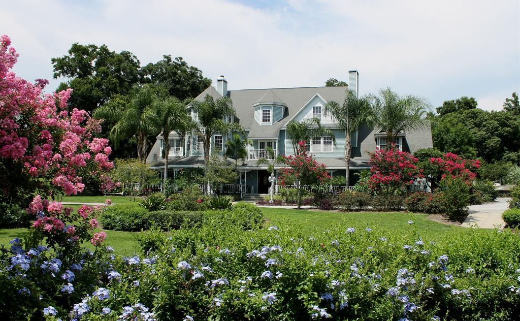 Heron Cay Lakeview Bed & Breakfast Маунт-Дора Экстерьер фото
